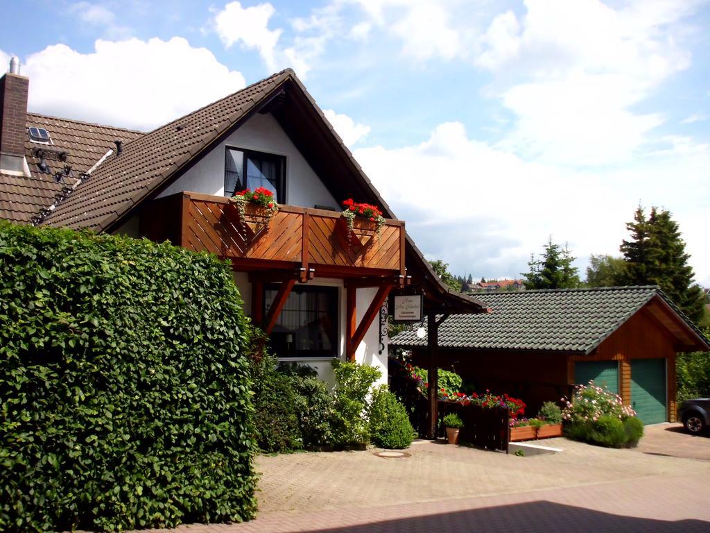 Apartmenthaus - Haus Am Schultal, Браунлаге Экстерьер фото